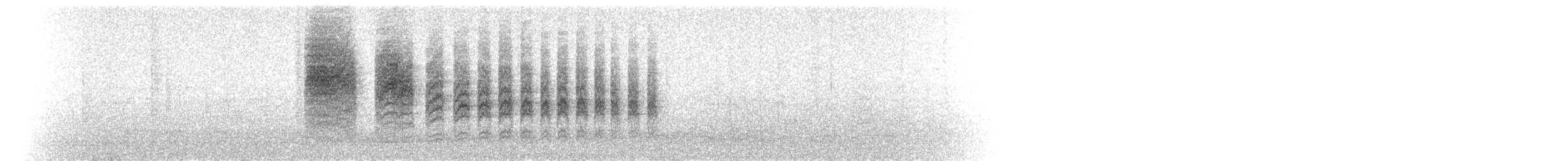 Black-tailed Gnatcatcher - ML68304091