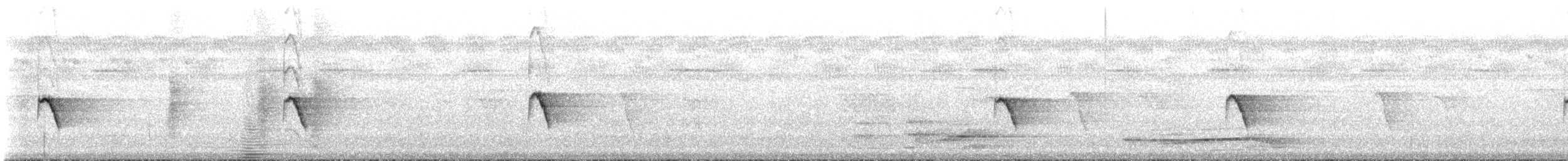 Окулярник ранонгійський - ML68305601