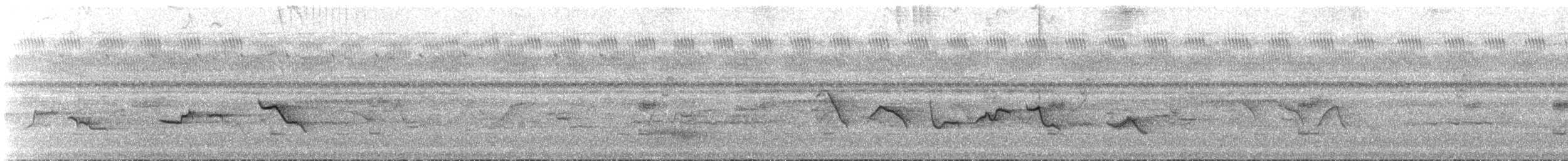 Окулярник ранонгійський - ML68305801