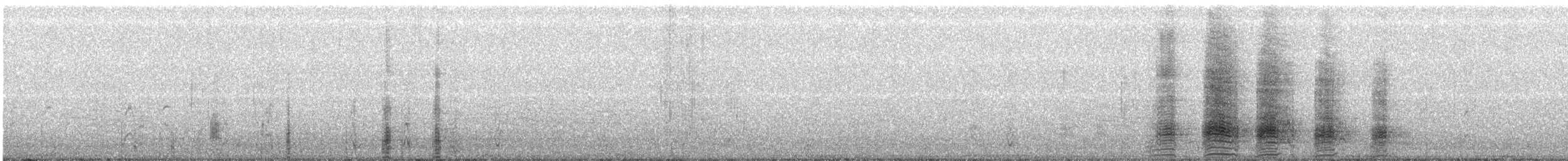 Крижень звичайний - ML68359521