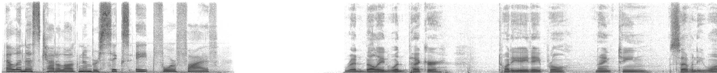 Carolinaspecht - ML6845