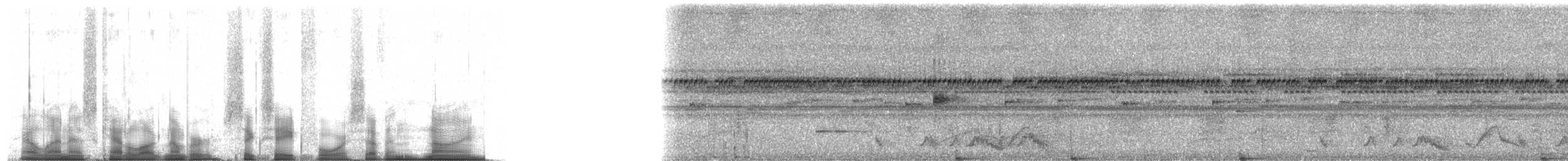 Rostnachtschwalbe [rufus-Gruppe] - ML68479