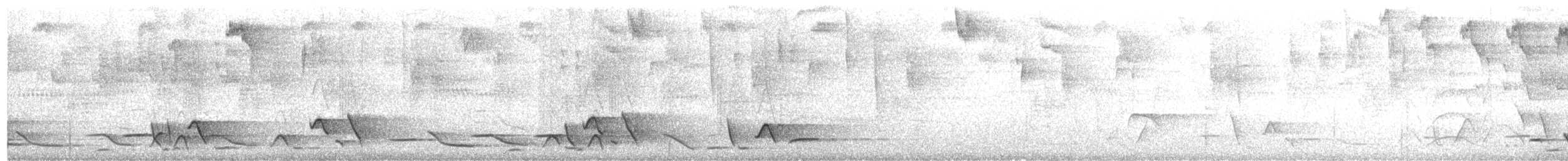 Whiskered Wren - ML68557981