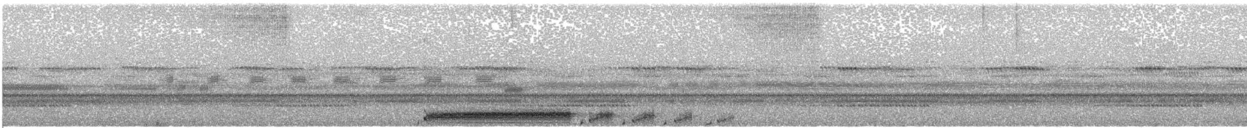 potu středoamerický - ML68702051