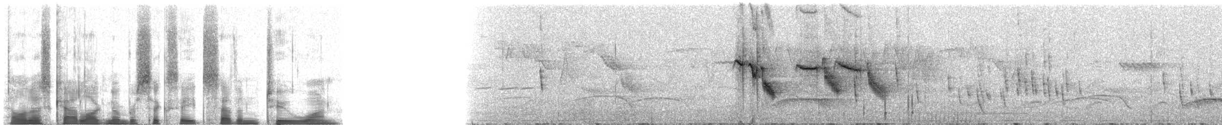 Усатая юхина - ML68721