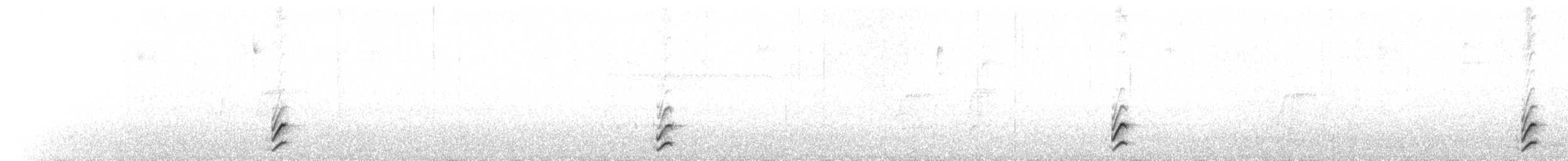 Чёрный тапакуло (subcinereus) - ML68768101