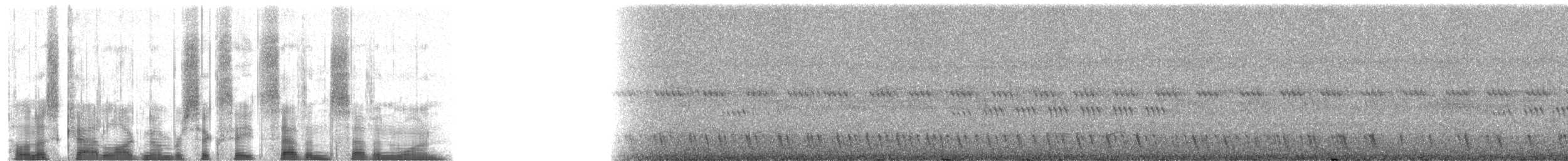 Gray Nightjar - ML68771