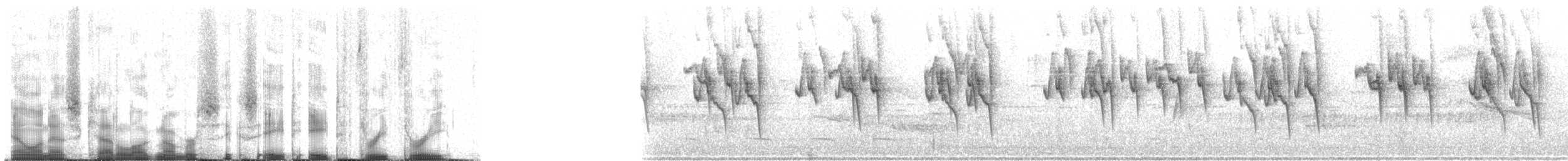 Серобрюхий колибри-отшельник - ML68833