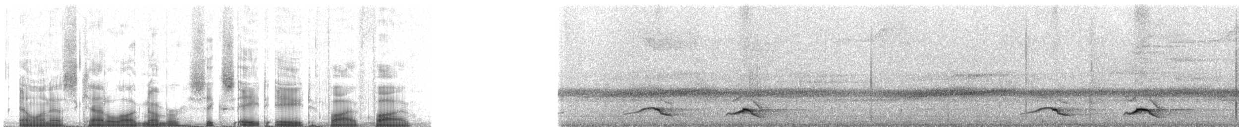 Crested Quetzal - ML68855