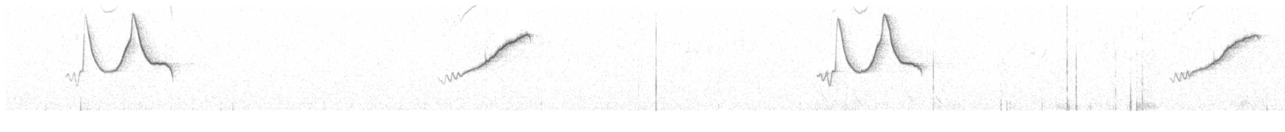 Інкавець сірокрилий - ML68857371
