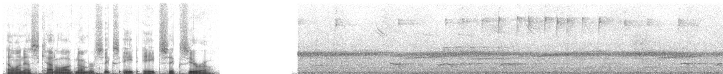 Crested Quetzal - ML68860