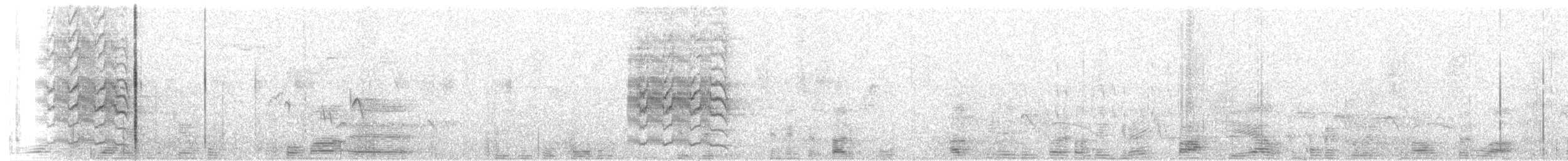 Tyran pitangua - ML68968031