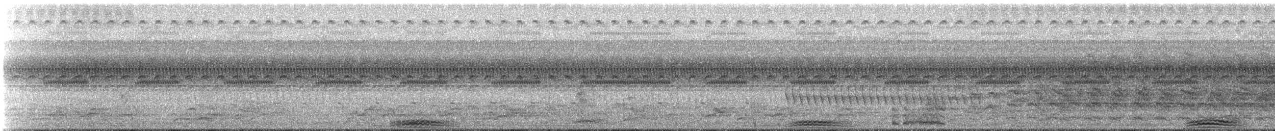 pygmérørdrum - ML69011801