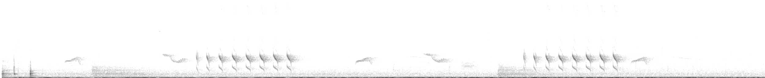 brunflanketapakulo - ML69019151