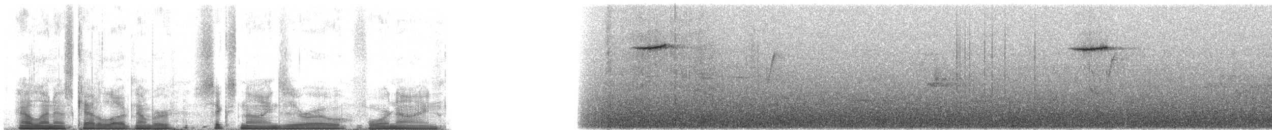 Rufous-bellied Niltava - ML69049