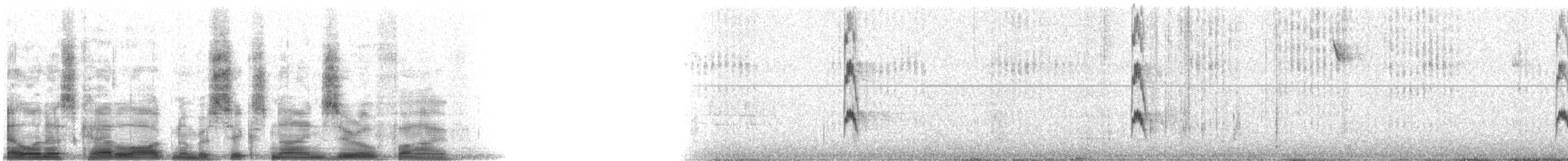 Red-cockaded Woodpecker - ML6905