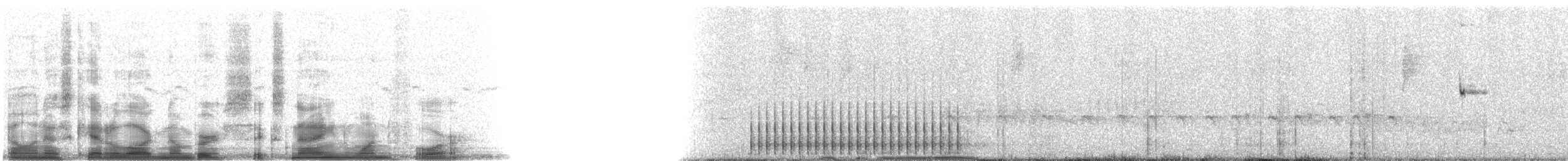 Nuttall's Woodpecker - ML6914