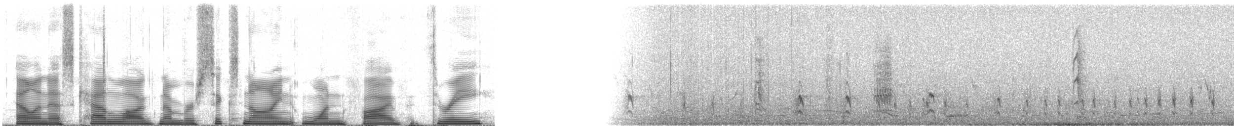 Southern Carmine Bee-eater - ML69153