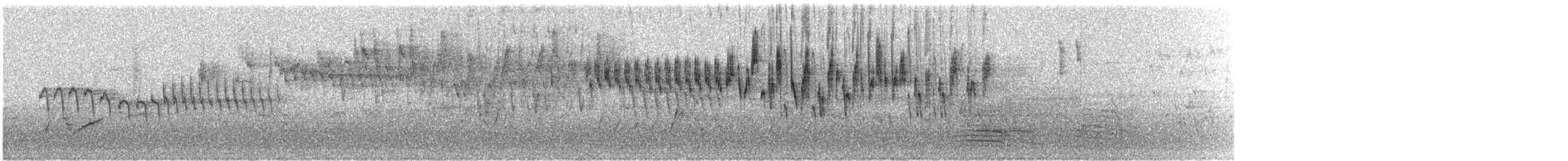 Maluro Soberbio - ML69229951