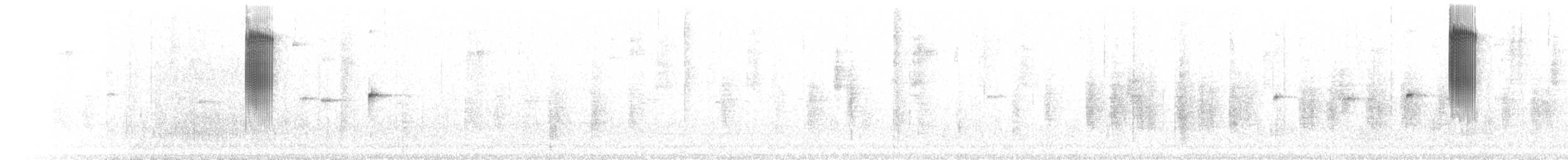kolibřík sluneční - ML69256571