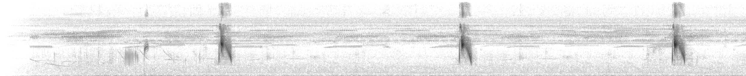 Черноспинный мухолов - ML69264461