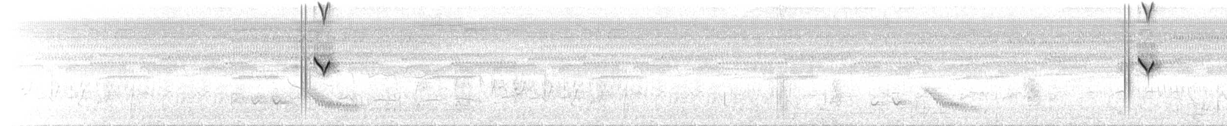 Ak Başlı Bataklık Tiranı - ML69264981