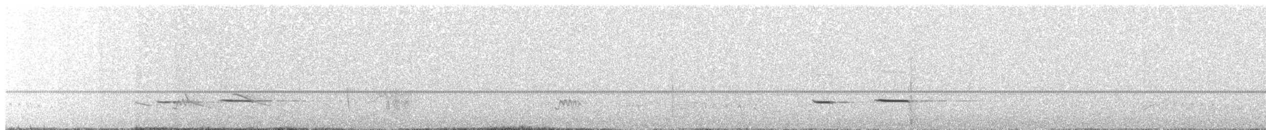 Striped Cuckoo - ML69288261
