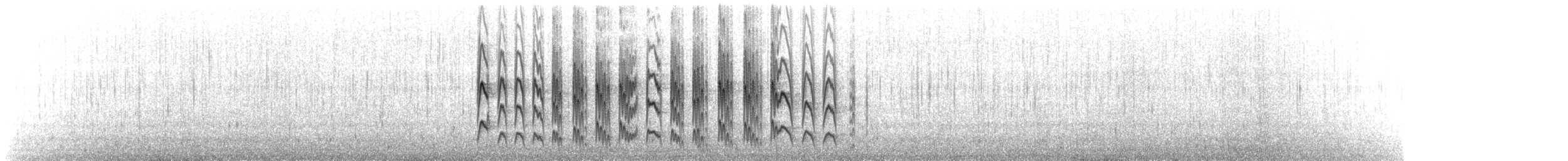 Graubrust-Tachurityrann - ML69328831