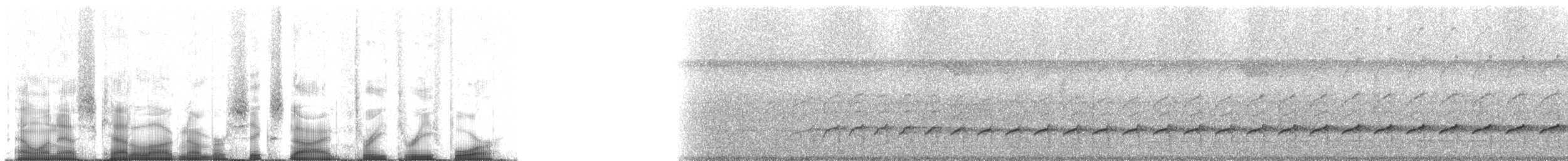 Лінивка-строкатка великодзьоба - ML69334