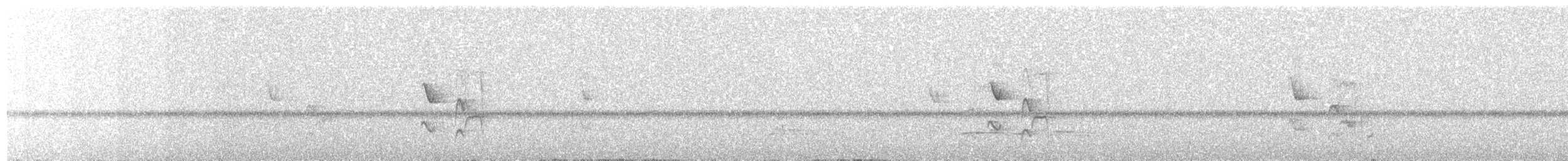 Graustirn-Dickichtschlüpfer - ML69340181