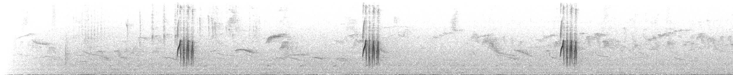 White-throated Tyrannulet - ML69351561