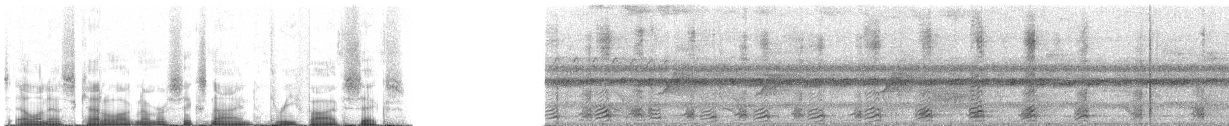 Toucanet à bec sillonné (sulcatus/erythrognathus) - ML69356