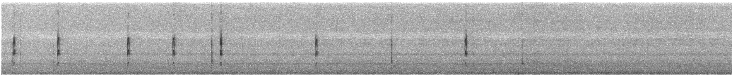 Schmalschnabel-Königstyrann - ML69358411