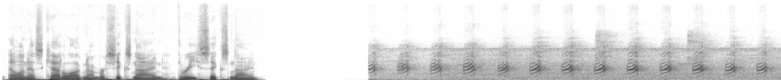 Toucanet à bec sillonné (sulcatus/erythrognathus) - ML69369