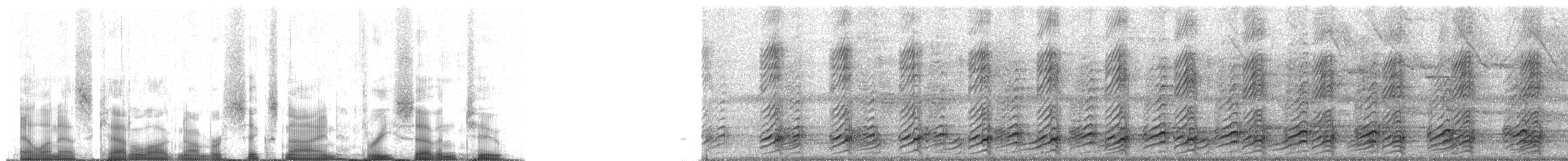 furenebbtukan (sulcatus/erythrognathus) - ML69372