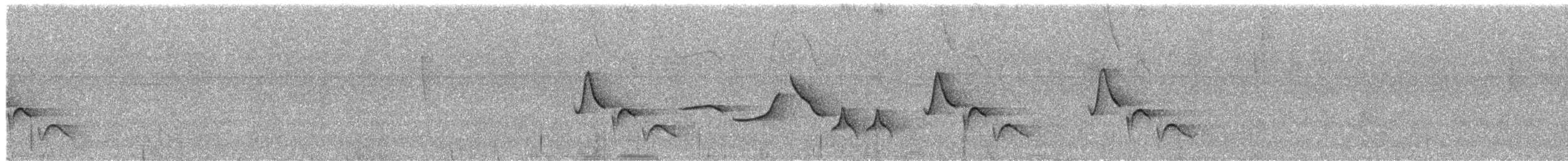 Troglodyte des halliers - ML69384571