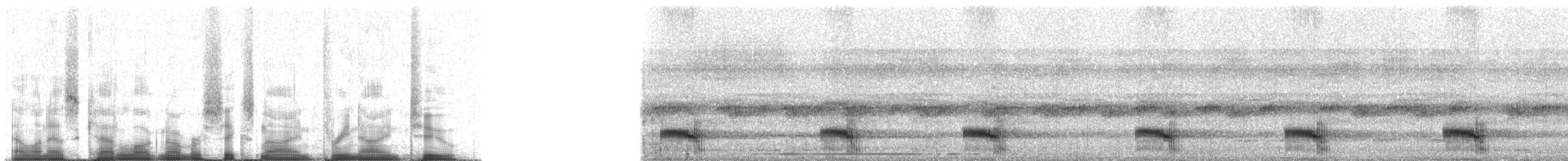 Channel-billed Toucan (Channel-billed) - ML69392