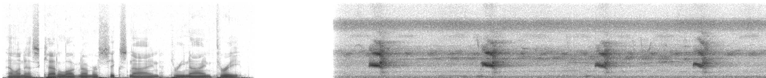 Channel-billed Toucan (Channel-billed) - ML69393