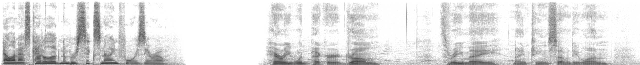 Haarspecht [villosus-Gruppe] - ML6940
