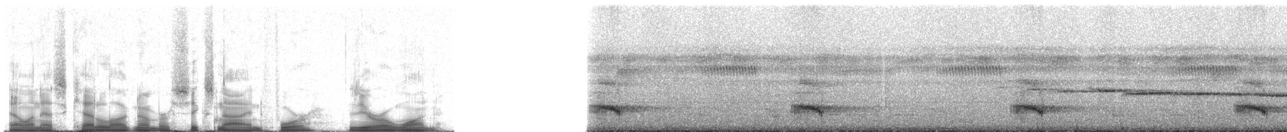 Dotterkehltukan (vitellinus) - ML69401