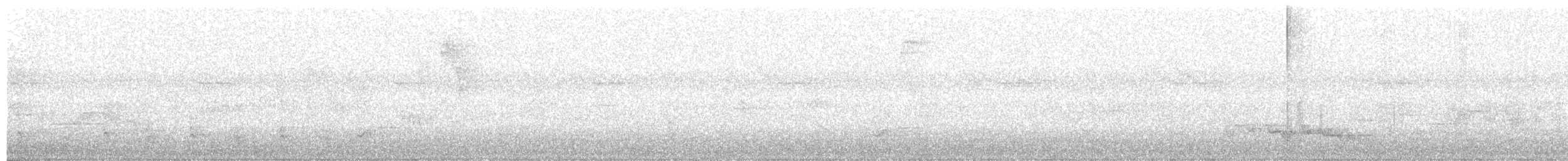 Віреончик білочеревий - ML69403011