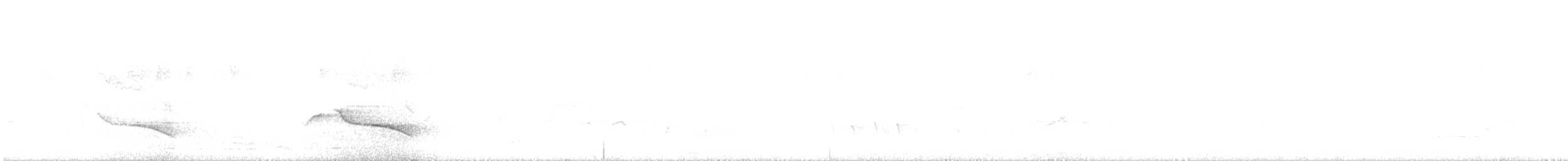 White-eared Monarch - ML69410241