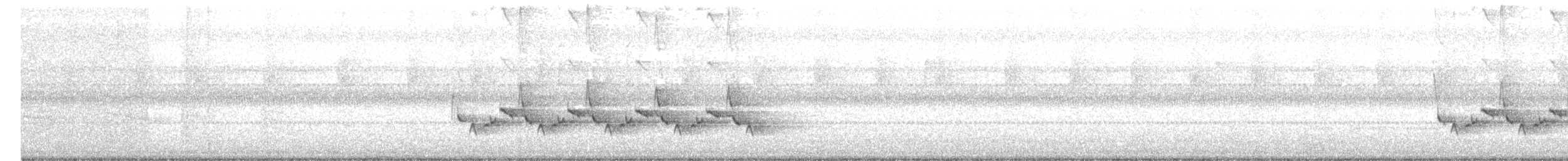 Carolina Wren - ML69416761