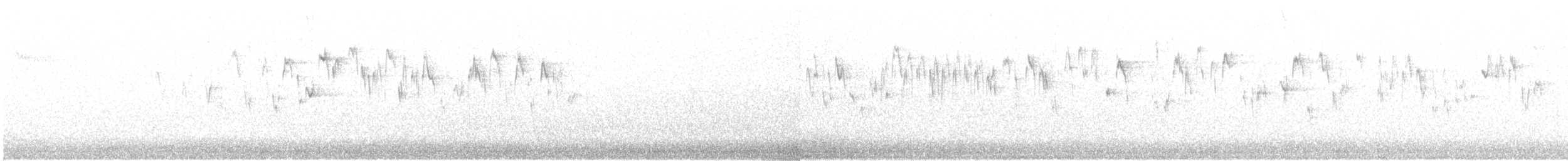 Troglodyte de Baird (groupe pacificus) - ML69471431