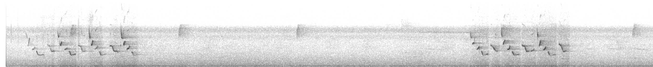 Поплітник каролінський - ML69574031