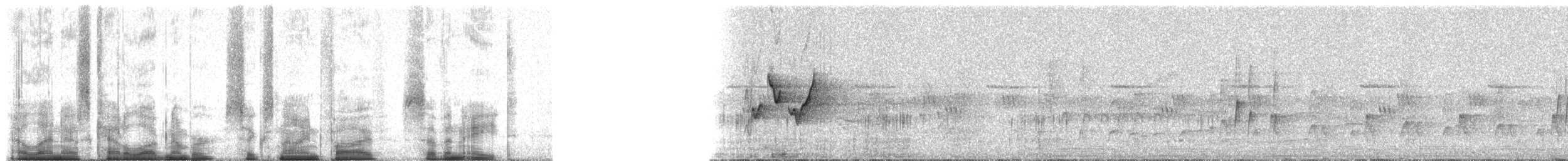 Віреончик білочеревий (підвид minor) - ML69578