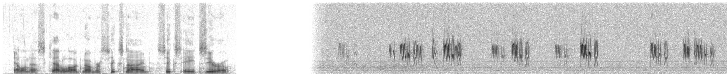 Rufous-browed Chat-Tyrant - ML69680