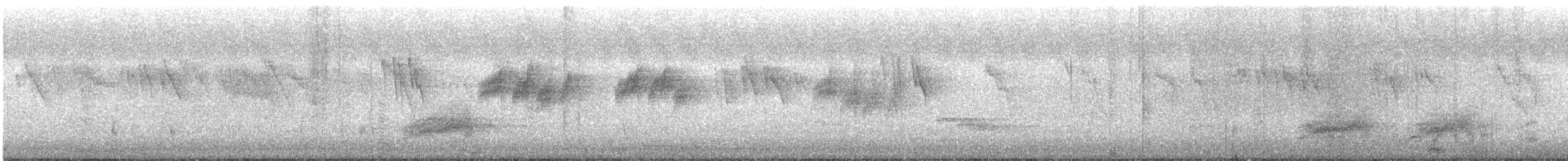 Cimitarra Dorsicastaña (montanus/ottolanderi) - ML69704651