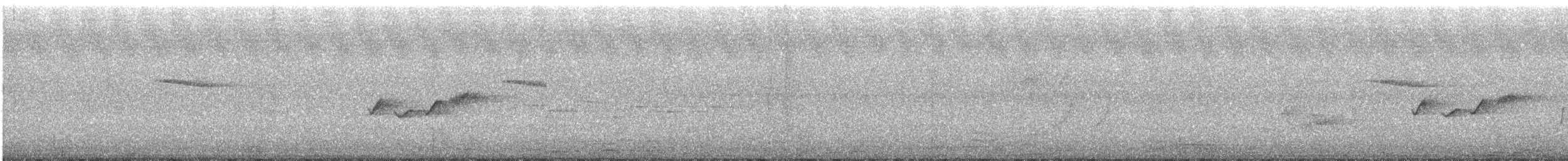 Gobemoustique à tête grise - ML69705101