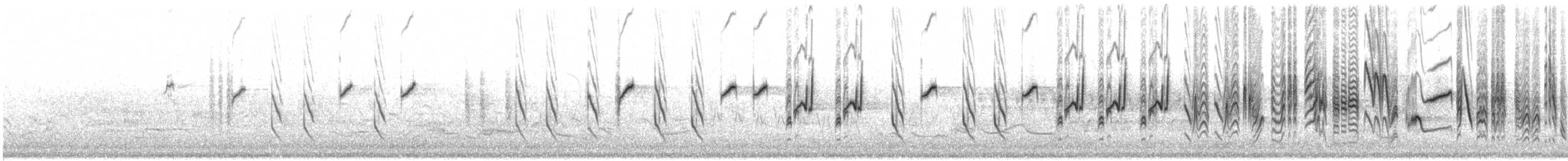 Melodious Warbler - ML69795741